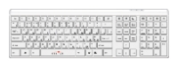 Oklick 560 S Multimedia Keyboard White USB